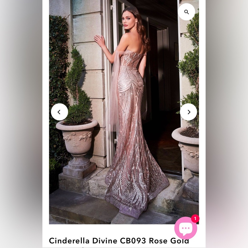 Cinderella Divine
